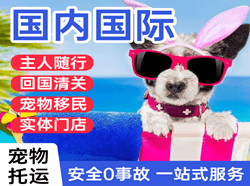 乌兰浩特空运公司国际宠物托运 【国